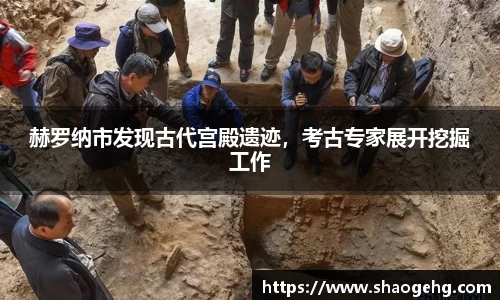 球速体育网页版登录入口