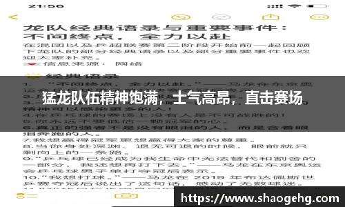 球速体育官网