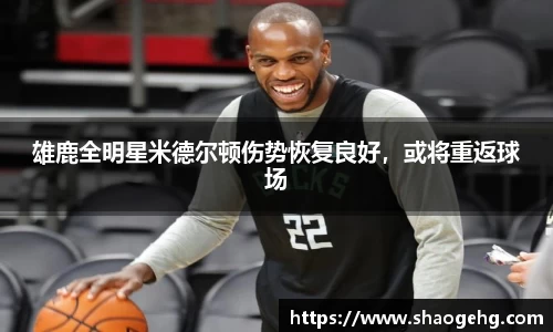 球速体育官网