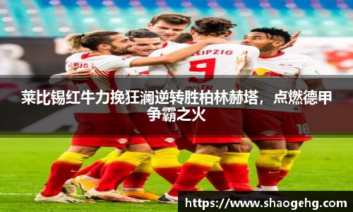 球速体育网页版登录入口