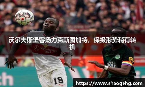 球速体育网页版登录入口