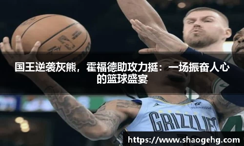 国王逆袭灰熊，霍福德助攻力挺：一场振奋人心的篮球盛宴