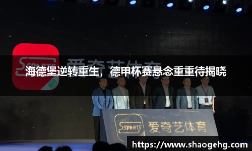 海德堡逆转重生，德甲杯赛悬念重重待揭晓