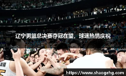 辽宁男篮总决赛夺冠在望，球迷热情庆祝