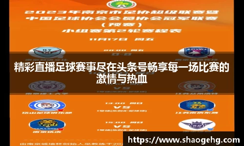 球速体育官网