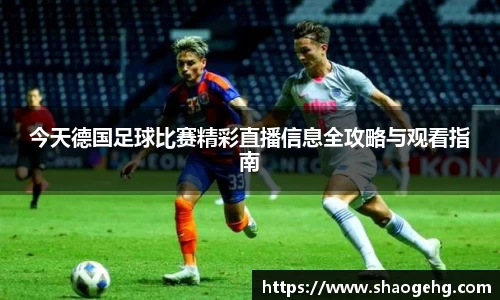 球速体育网页版登录入口