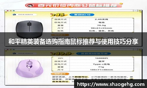 球速体育