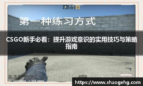 球速体育网页版登录入口