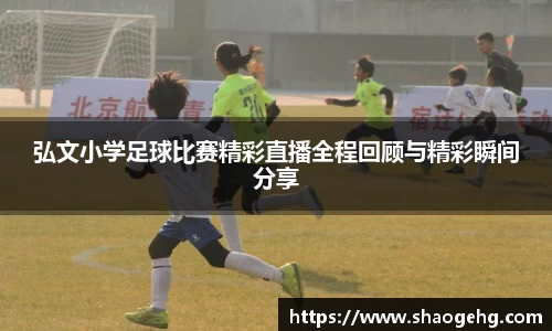 球速体育网页版登录入口