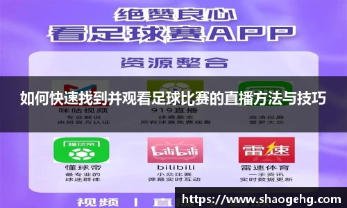 球速体育官网
