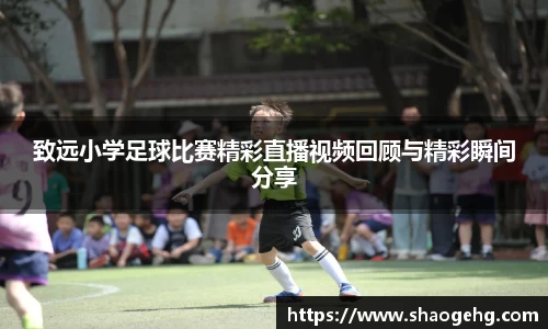 球速体育网页版登录入口