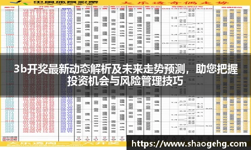 3b开奖最新动态解析及未来走势预测，助您把握投资机会与风险管理技巧