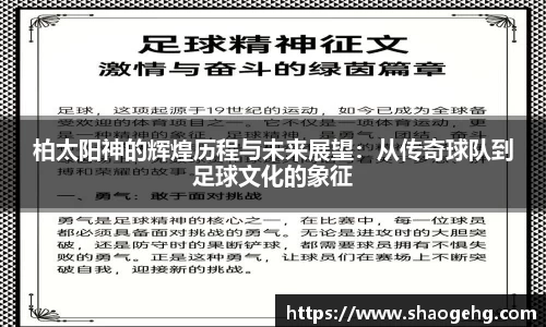 柏太阳神的辉煌历程与未来展望：从传奇球队到足球文化的象征