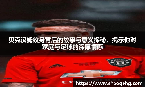 球速体育