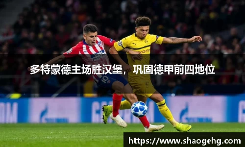 多特蒙德主场胜汉堡，巩固德甲前四地位